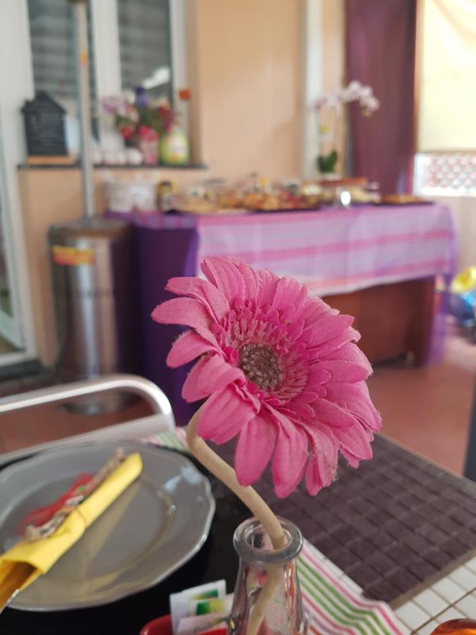 Ghiro Ghiotto Bed and Breakfast Pietra Ligure Eksteriør billede